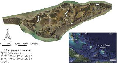 Taphonomy of Biosignatures in Microbial Mats on Little Ambergris Cay, Turks and Caicos Islands